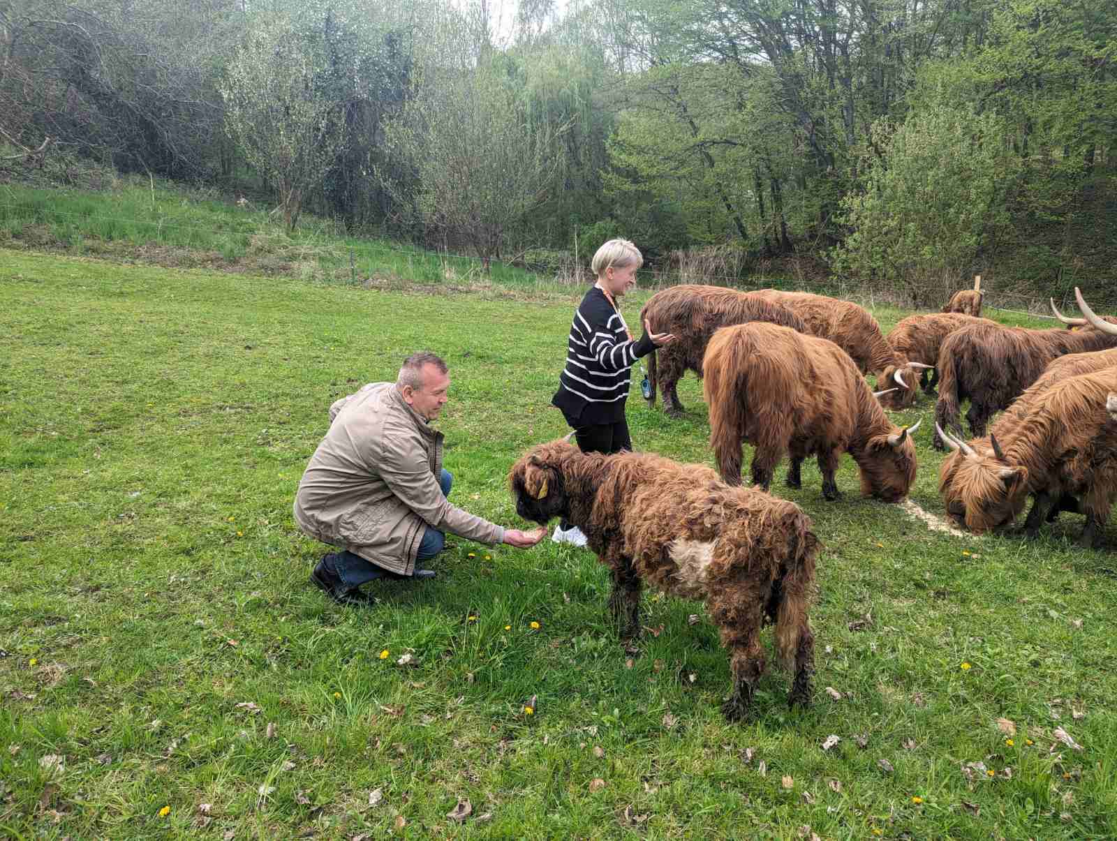 Varaždinska županija: OPG Mekota uzgaja i u našim krajevima sve ...